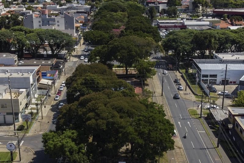 Corredor verde da Av. Arthur Bernardes pode deixar de existir. I Foto: Daniel Castellano / SMCS