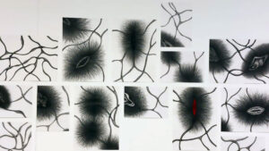 Obra "Série Soterro Enquanto eles creciam II" de Juliana Notari, em exposição no MON