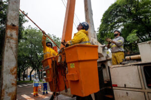 trabalhadores eletricistas brancos
