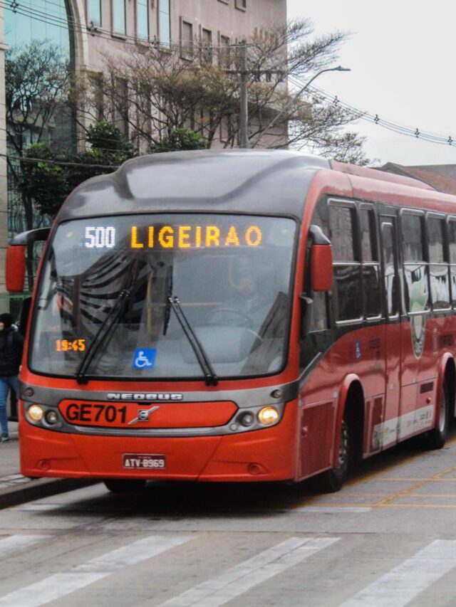 onibus-curitiba-tami-taketani-5