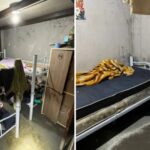 Trabalho escravo: alojamento descoberto em fornecedora de vinícolas. Foto: PRF
