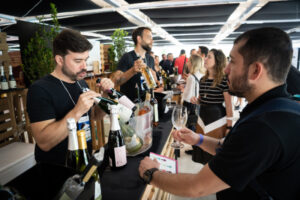 festival vinopar vinho paraná curitiba